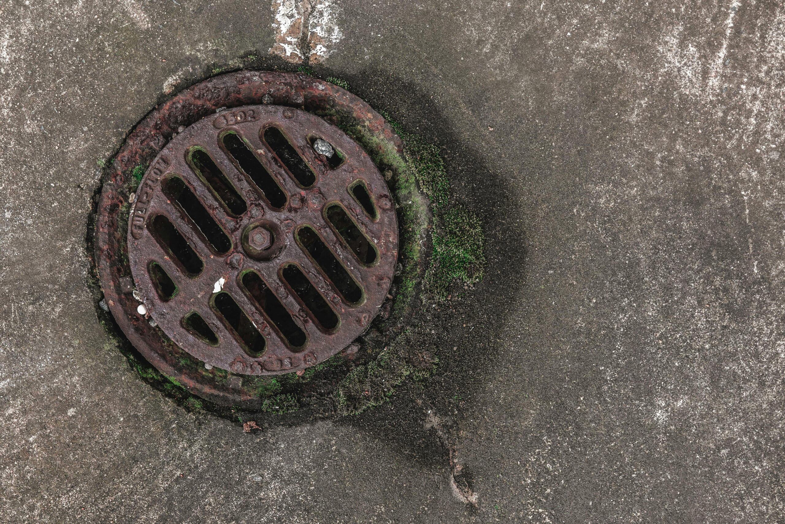 Close-up photo of a rusty drain grate with moss, offering a textured urban look.